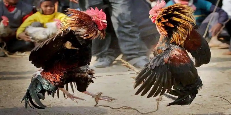 Một số lưu ý khi tìm hiểu màu mạng